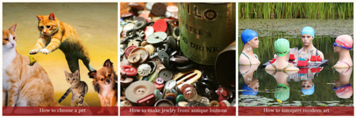 Images- 3 in a row - cats and dogs, antique buttons, 4 female mannequins in a pond. Text: How to choose a pet, How to make jewelry from antique buttons, how to interpret modern art.