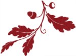 Image: sprig of oak leaves with acorn Image: sprig of oak leaves with acorn