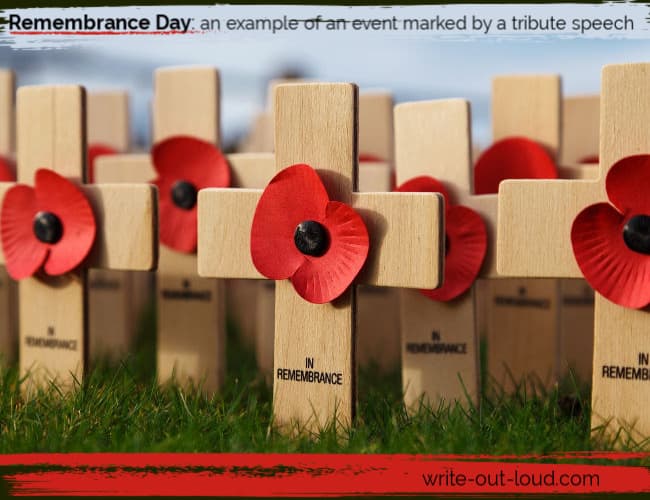 Image: Remembrance Day crosses with red poppies. Text: Remembrance Day - an example of an event often marked by a tribute speech.