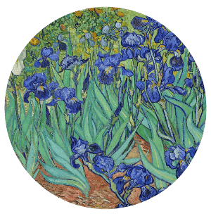 Vincent Van Gogh - Purple iris