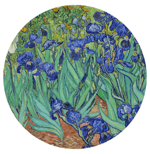 Vincent Van Gogh - Purple iris Vincent Van Gogh - Purple iris
