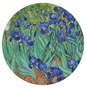 Vincent Van Gogh - Purple iris