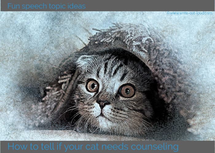 Image- drawing of a cat snuggled under a blanket. Text: how to tell if your cat needs counseling.