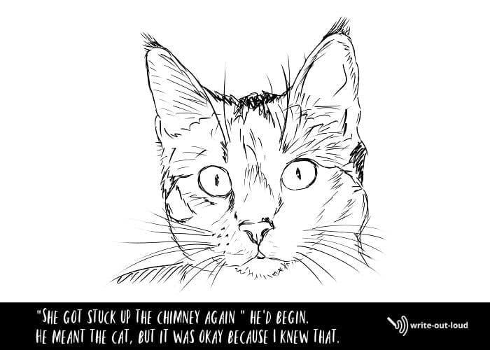 Pencil drawing of a cat Pencil drawing of a cat