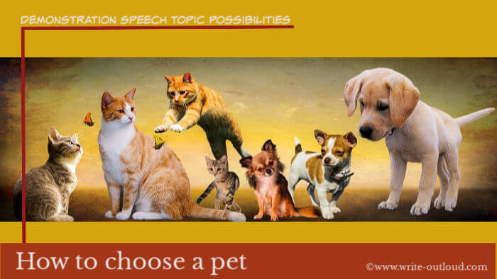 Image: cats, dogs and butterflies. Text: Demonstrations speech topic possibilities - how to choose a pet. Image: cats, dogs and butterflies. Text: Demonstrations speech topic possibilities - how to choose a pet.
