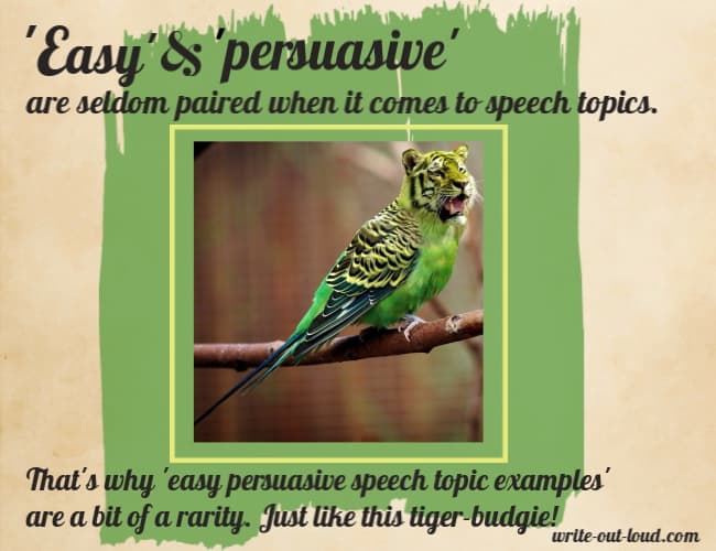 Image: a tiger-budgie. Text: Easy and persuasive are seldom paired when it comes to speech topics. That makes easy persuasive speech topics a bit of a rarity. Just like this tiger-budgie.