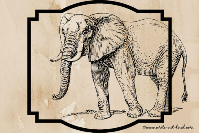 A drawing of an elephant on a sepia background.