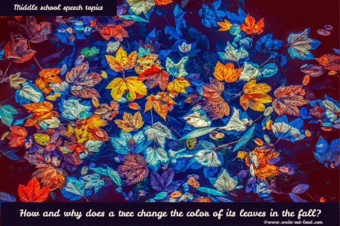 Image: artistic pattern of autumnal leaves. Text: How and why does a tree change the color of its leaves in the fall? (Speech topics for children.)