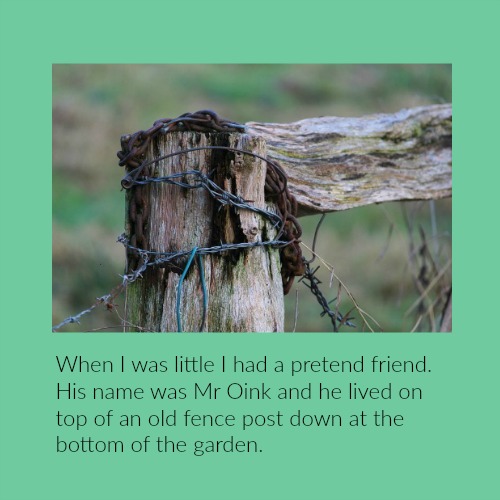 My imaginary friend Mr Oink lived on top of a fence post like this one.