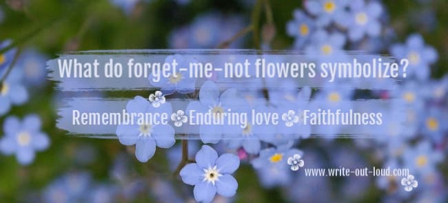 Image: blue forget-me-not flowers. Text: What do forget-me-not flowers symbolize? Remembrance, enduring love, faithfulness
