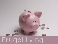 Pottery pink pig money box - frugal living speech topics.