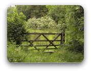A rustic gate to a green field A rustic gate to a green field