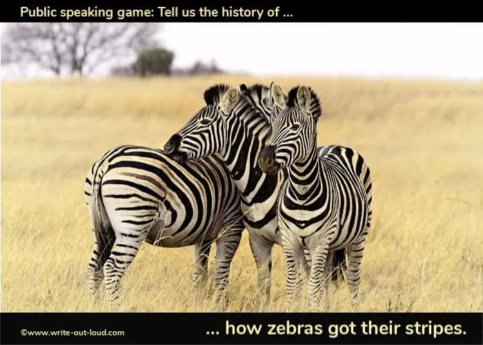How the zebra got his stripes - Tell me the history of ... a public speaking game Zebras grazing- how zebras got their stripes
