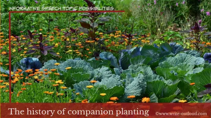 Informative speech topic ideas - companion planting