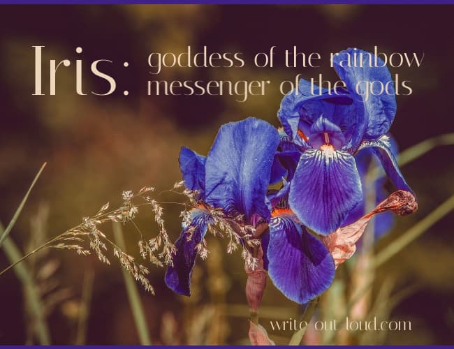 Image: purple iris flowers. Text: Iris: goddess of the rainbow, messenger of the gods.