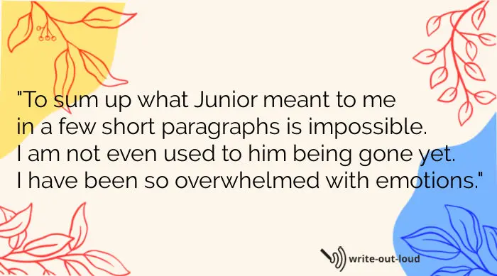 Quote from my eulogy for my beloved brother Junior