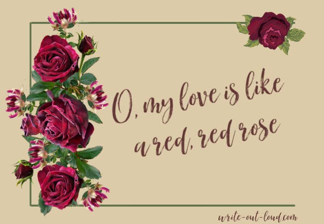 Quotation: O, my love is like a red, red rose - Robert Burns Quotation: O, my love is like a red, red rose - Robert Burns