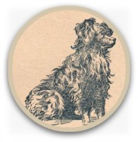 Drawing of a small shaggy dog Drawing of a small shaggy dog