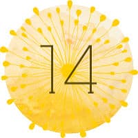 thank you quote button 14