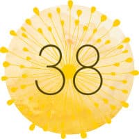 Thank you quote button 38