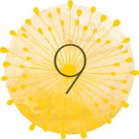 Thank you quote button 9