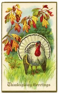 Vintage thanksgiving greetings card featuring a turkey with autumn leaves in the background. Vintage thanksgiving greetings card featuring a turkey with autumn leaves in the background.
