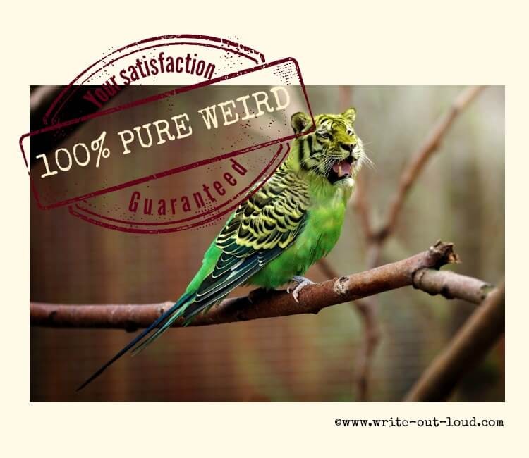 Image: tiger-budgie Text: 100% pure weird