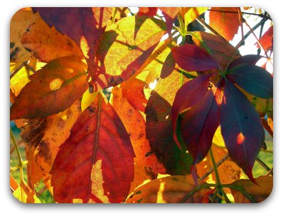 Inspirational quotations, eulogy and funeral readings